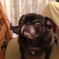 Ruth Wilhelm Photo 15