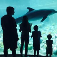 David Dunham Photo 38 David Dunham Photo 38