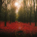 Christopher Call Photo 17