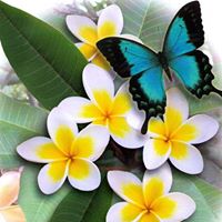 Aurora Smith Photo 12