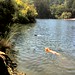 Clyde Bailey Photo 3