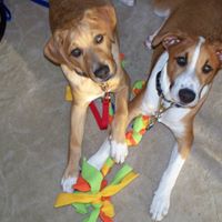 Stacey Irvin Photo 20