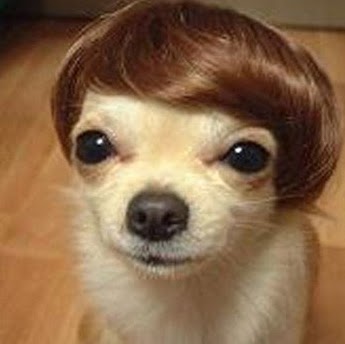 Martha Potter Photo 6