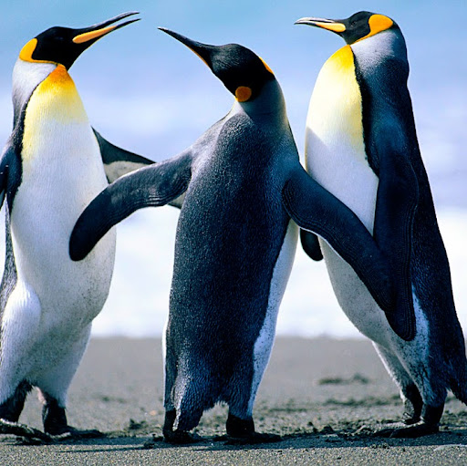 Daniel Smart Photo 19