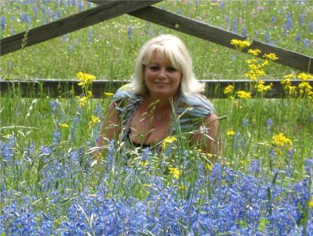 Debra Davis Photo 35