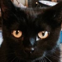 Cheryl Tanner Photo 21