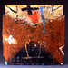 Douglas Robison Photo 11