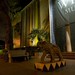 Jane Witte Photo 21