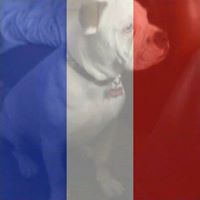 Cathy Porter Photo 6