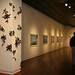 Stephen Dooley Photo 26