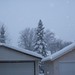 Allison Winters Photo 30