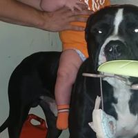 Benjamin Kramer Photo 35