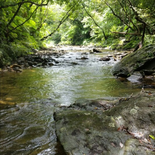 David Diggs Photo 20