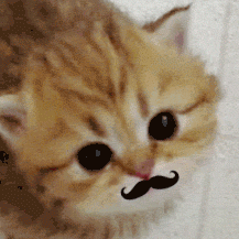 Alice Daniels Photo 38