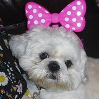 Rebecca Mccann Photo 19