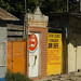 Ines Flores Photo 26