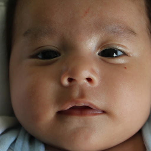 Mario Estrada Photo 17