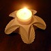 Ruth Mercer Photo 18