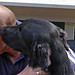 Rick Jaynes Photo 19