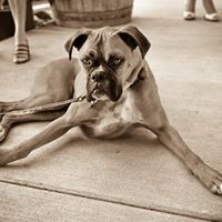 Jennifer Angelo Photo 20