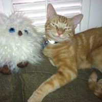 Katherine Booth Photo 26