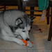 Samantha Frost Photo 11