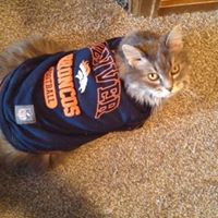 Meredith Ray Photo 25