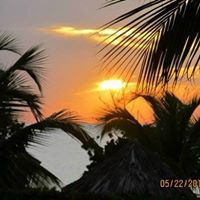 Robin Charlton Photo 12