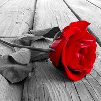 Cornelia Rose Photo 2