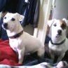 Kris Adkins Photo 9