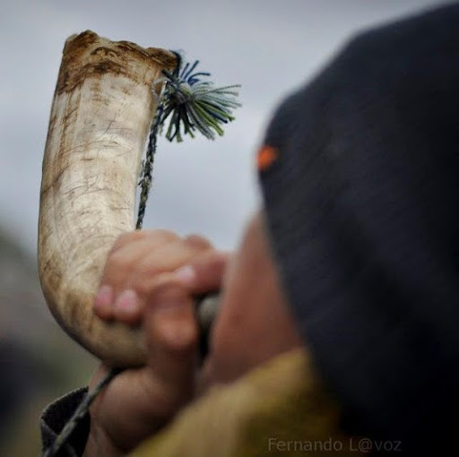 Julian Cordero Photo 25