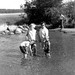 Dorothy Terry Photo 8