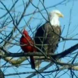 Teresa Jacobs Photo 22 Teresa Jacobs Photo 22