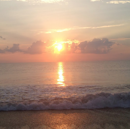 Julie Harrington Photo 36