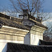 Yu Tang Photo 16