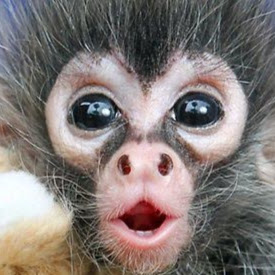 Daniel Armstrong Photo 46