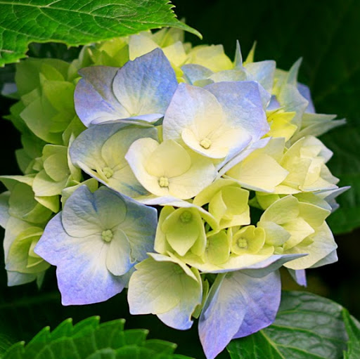 Nancy Wheeler Photo 8 Nancy Wheeler Photo 8