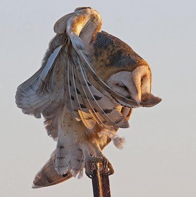 Alexandra Swanson Photo 8