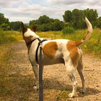 Richard Abraham Photo 17