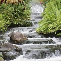 Nancy Stack Photo 27