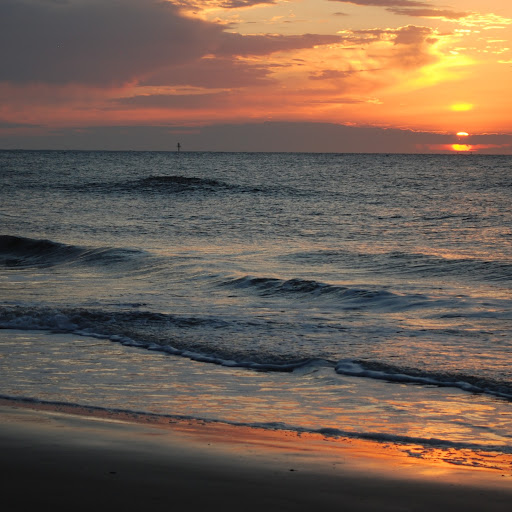 Barbara Ferrell Photo 11