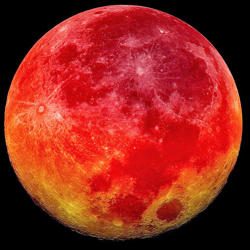 Johnathan Browning Photo 10