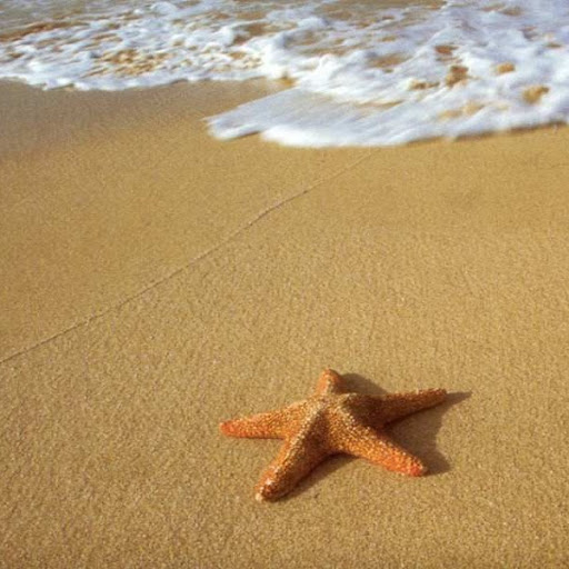 Colleen Rivers Photo 6