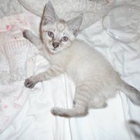 Sally Sprouse Photo 2