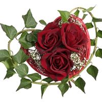 Maria Shepard Photo 7