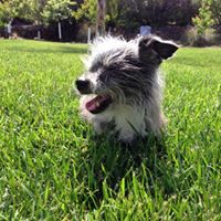 Susan Bendixen Photo 5