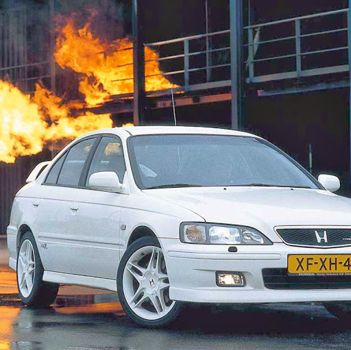 Shane Downey Photo 32