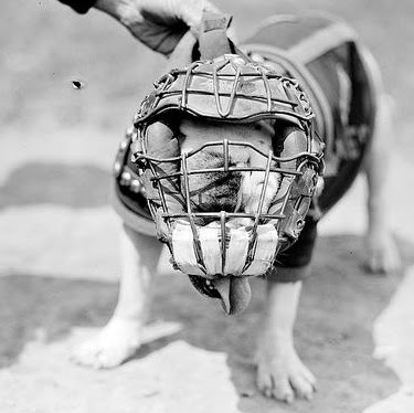 Jim Skelton Photo 34