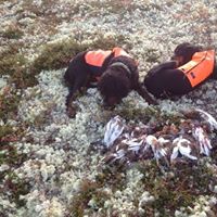 Glenn Hermann Photo 8