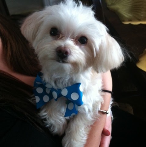 Phyllis Nichols Photo 9